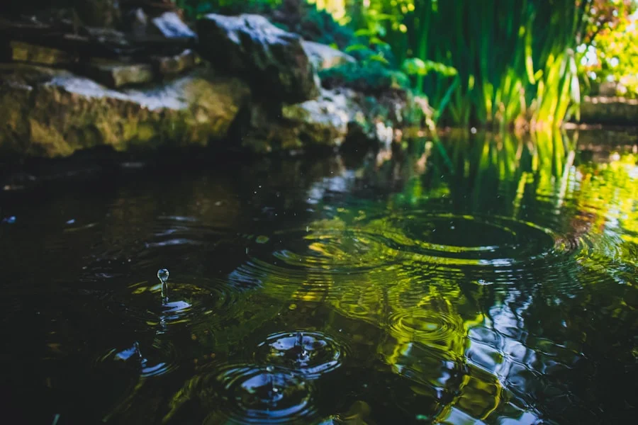 Biopiscina natural con zona de regeneración y vegetación acuática — climatización sostenible para ampliar la temporada de baño